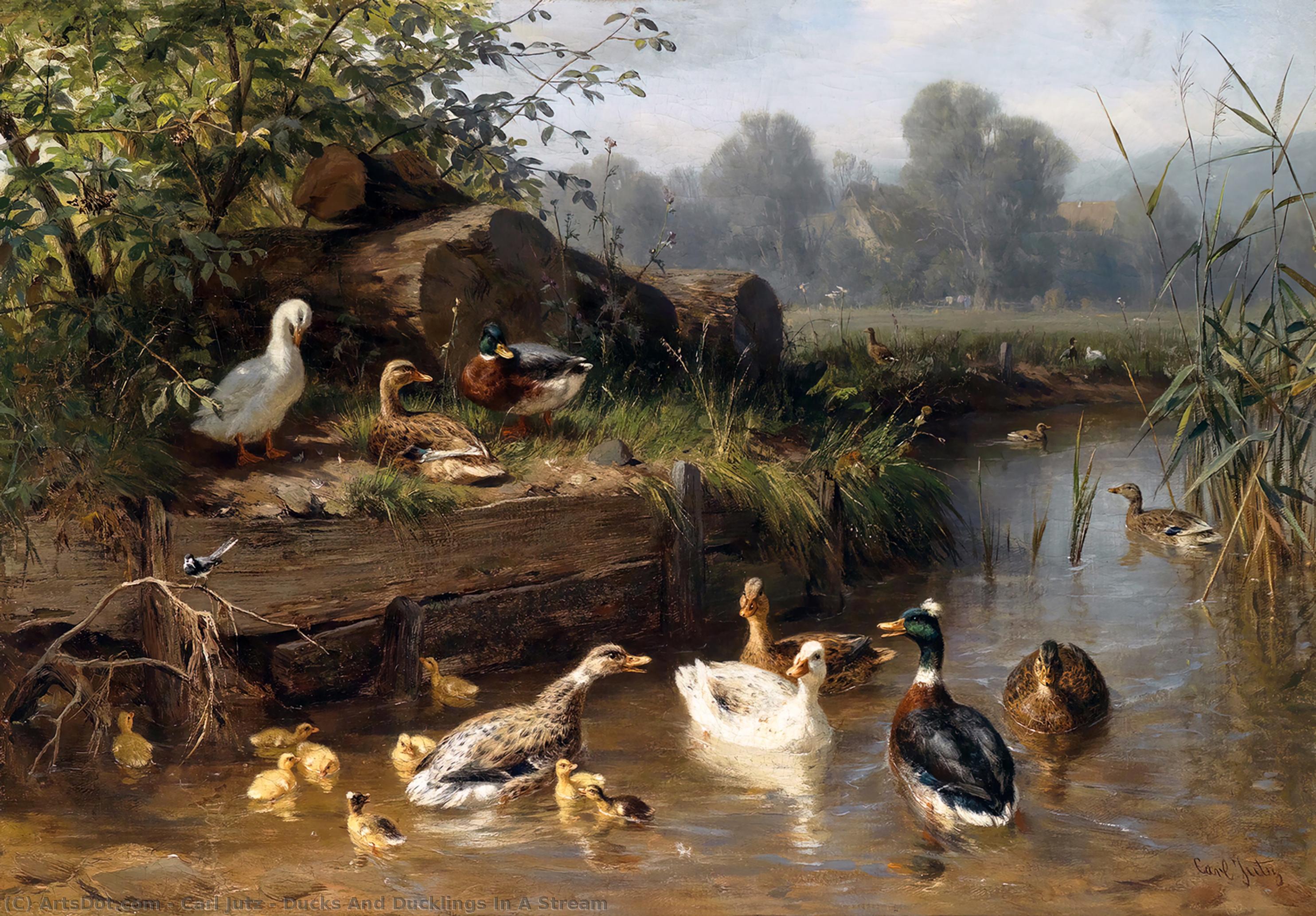 Ducks And Ducklings In A Stream — Carl Jutz