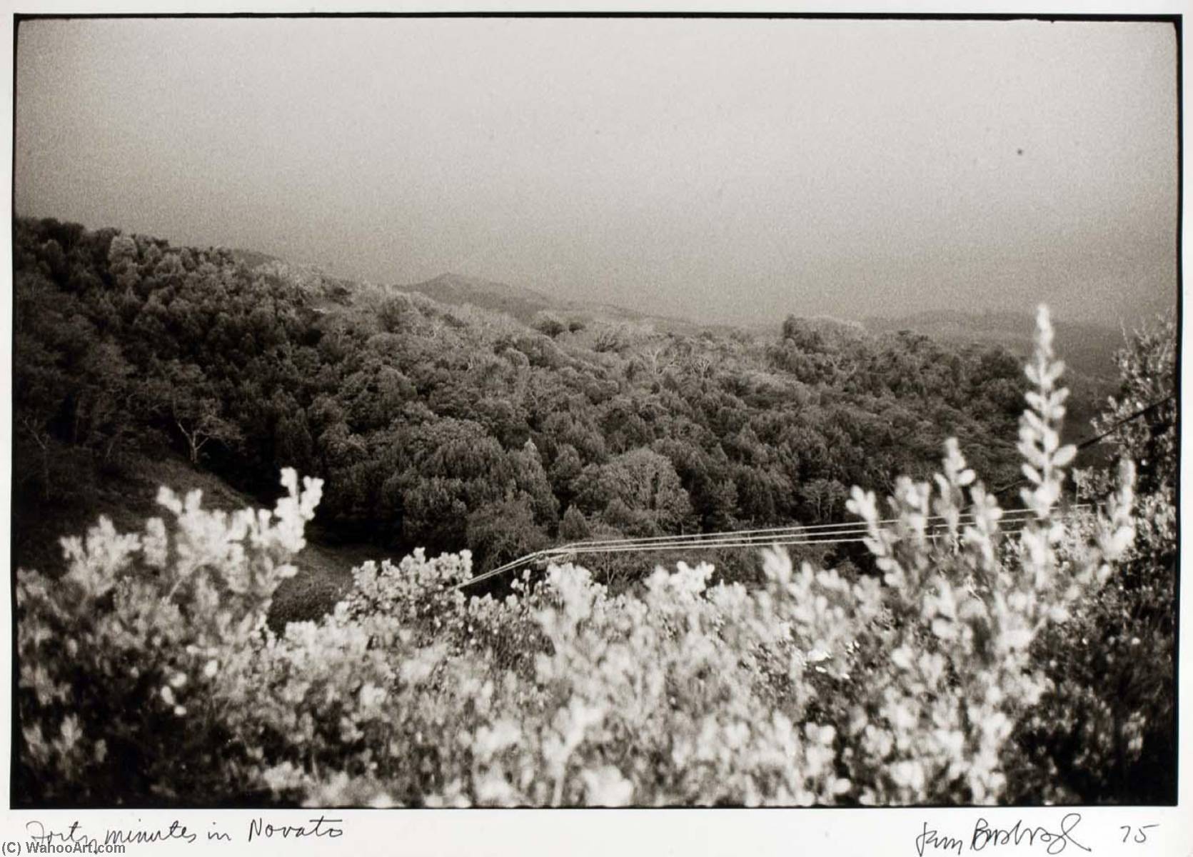 Forty Minutes In Novato — Jerry Burchard