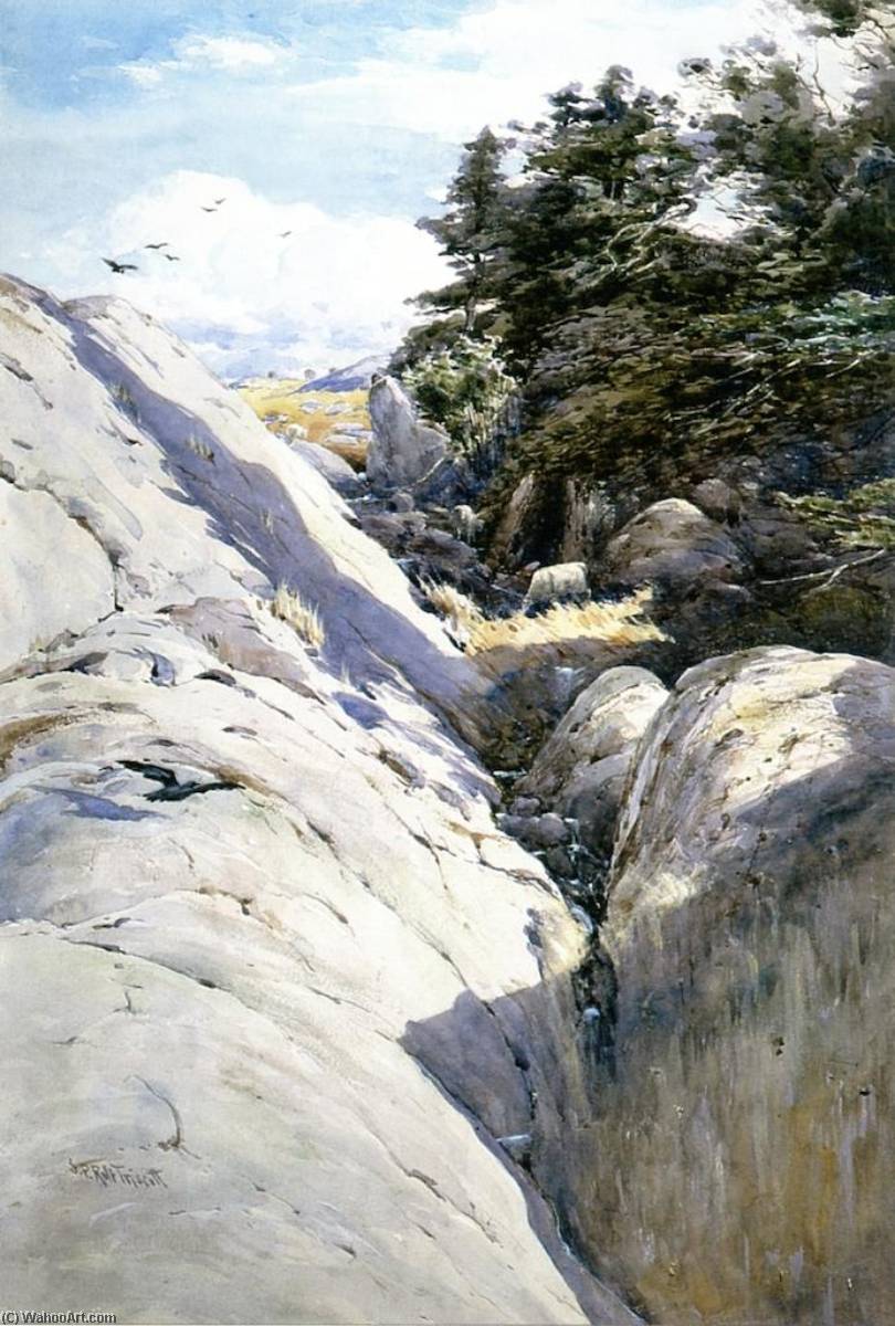 A Gully, Monhegan Island — Samuel P. R Triscott