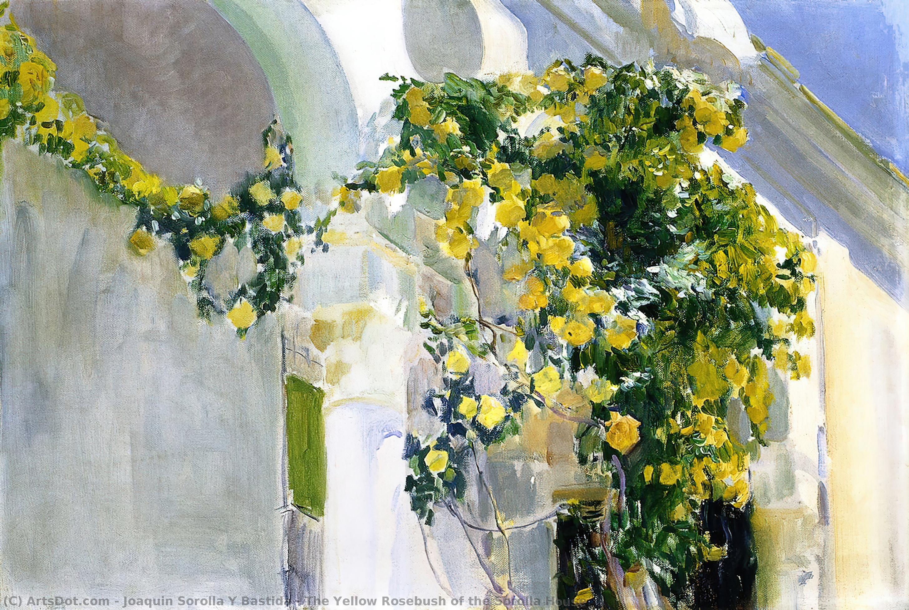 The Yellow Rosebush Of The Sorolla House — Joaquín Sorolla Y Bastida
