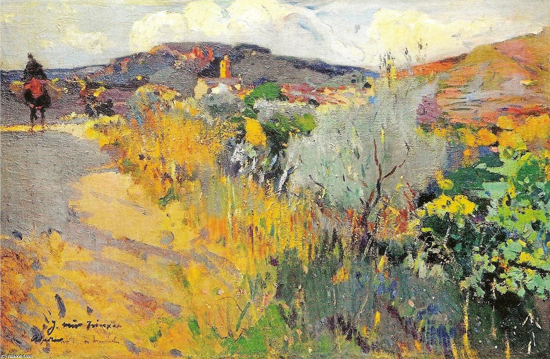 Vista De L'aleixar — Joaquim Mir