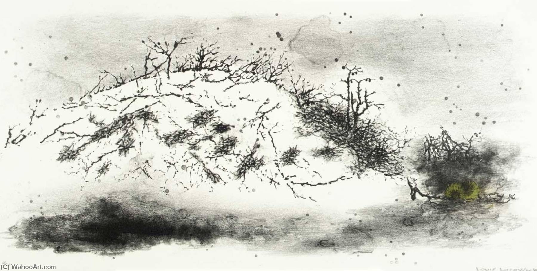 Scrub Pine — Louis Lozowick