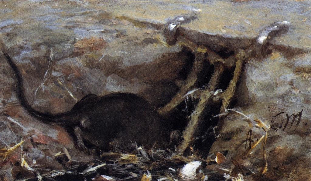 Rat In The Gutter — Адолф Фон Менцел