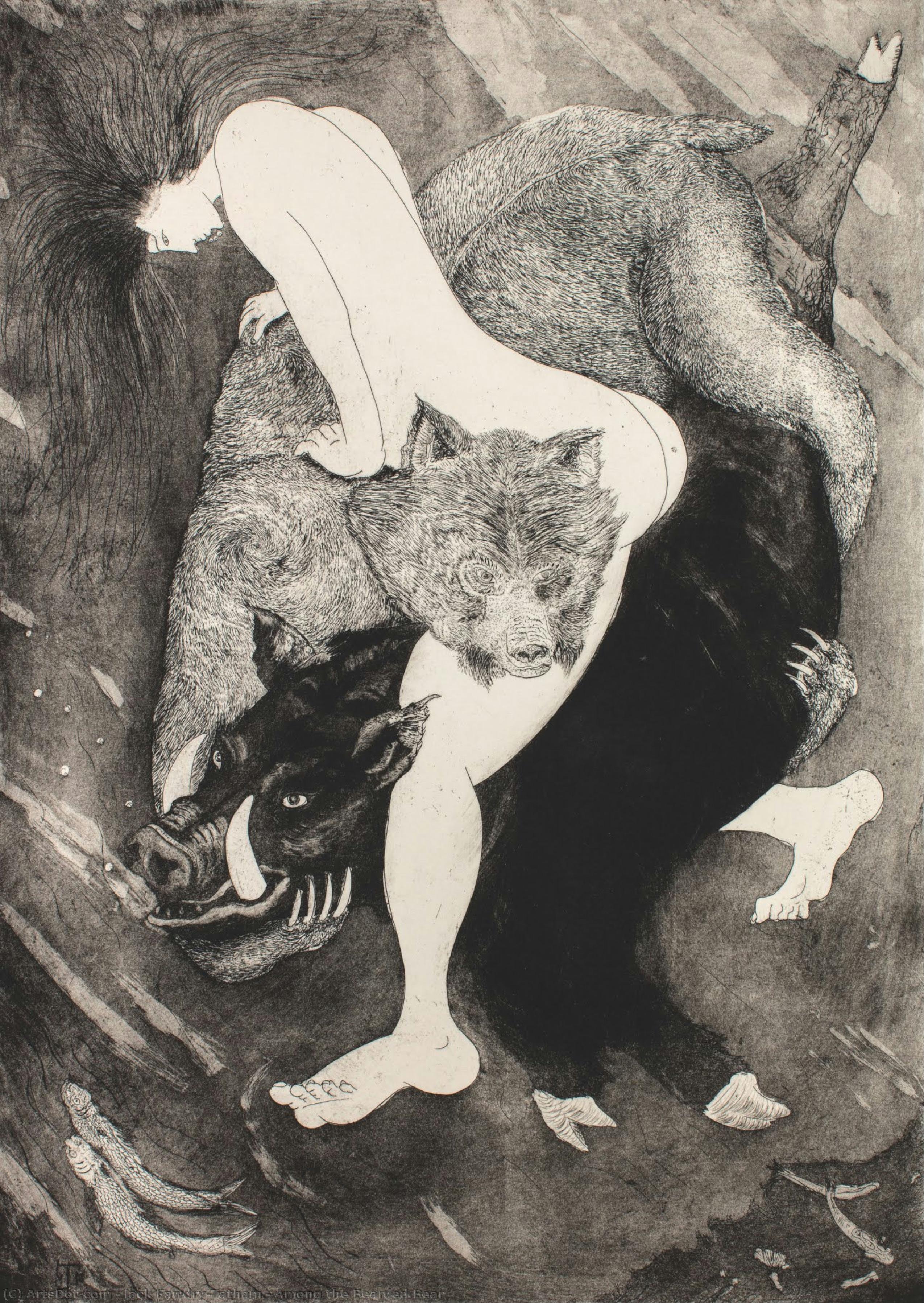 Among The Bearded Bear — Jack Fawdry-tatham