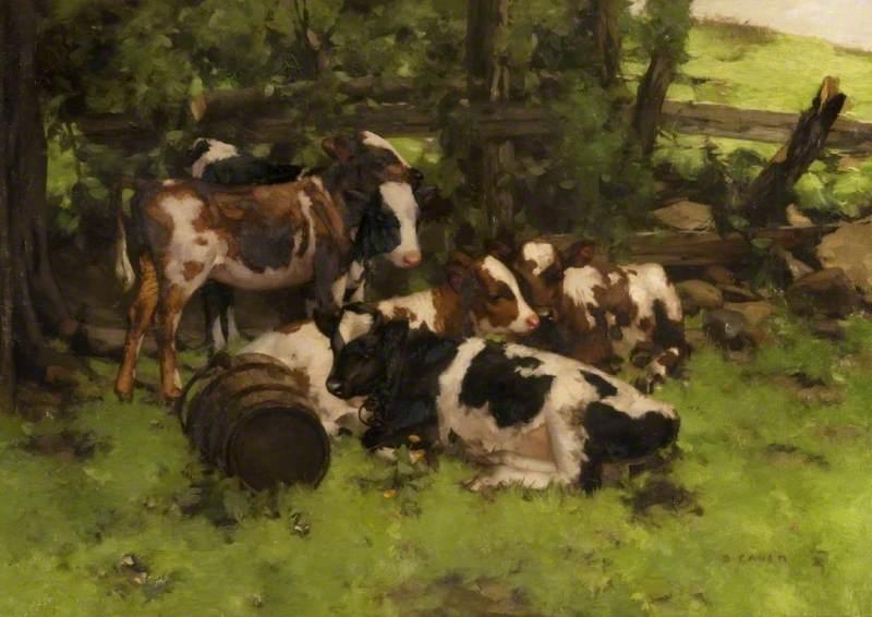 Contentment — David Gauld