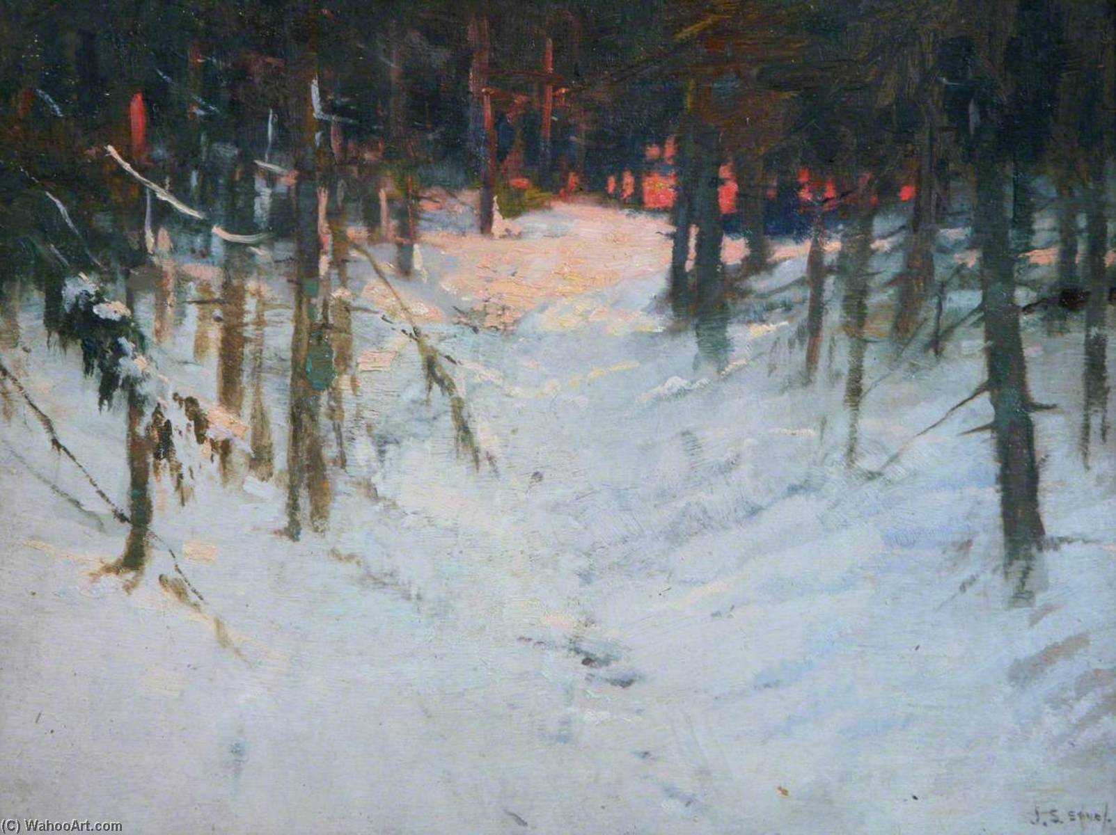 Sunset In The Woods — John Sydney Steel