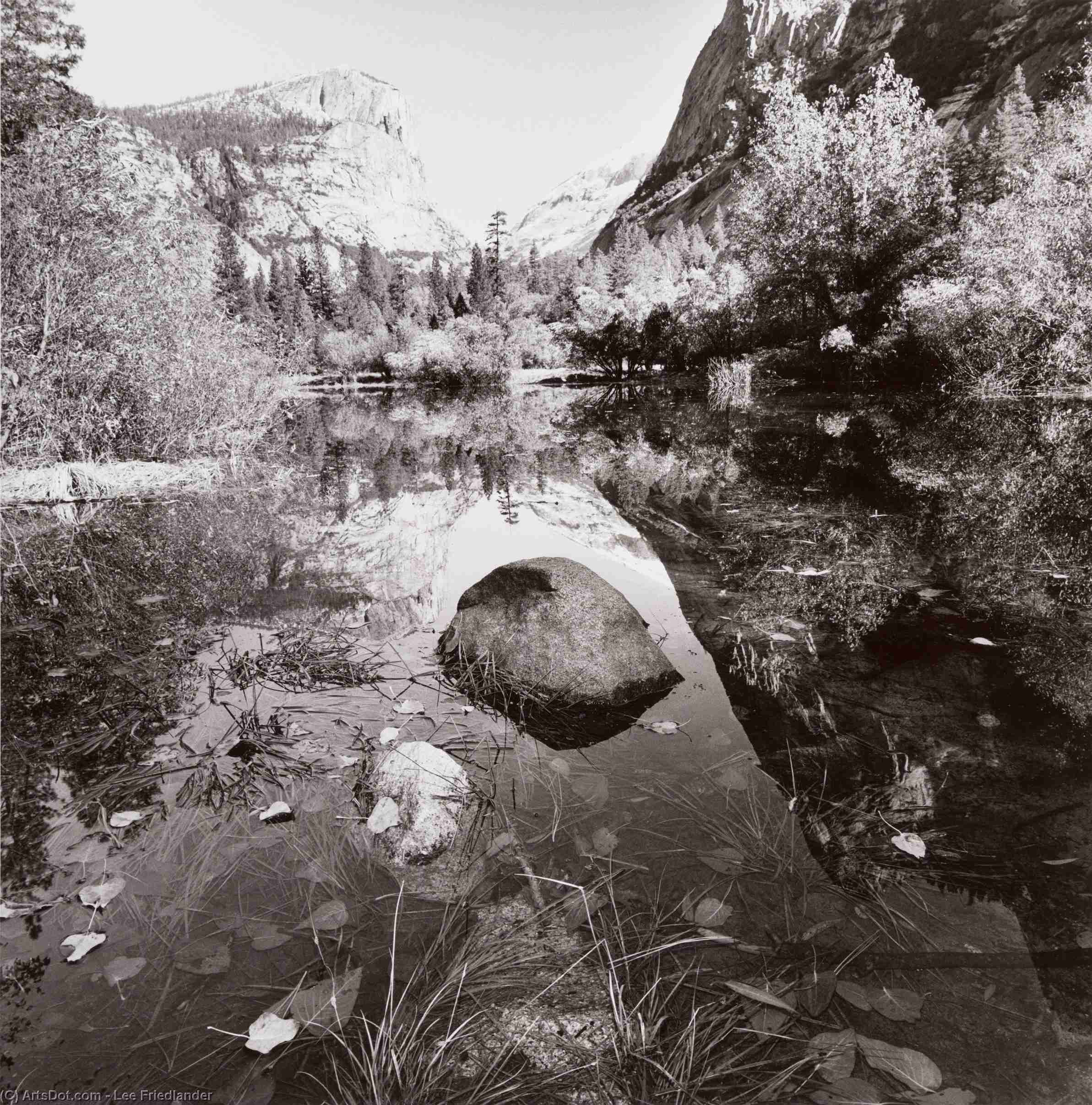Yosemite National Park, California — Lee Friedlander