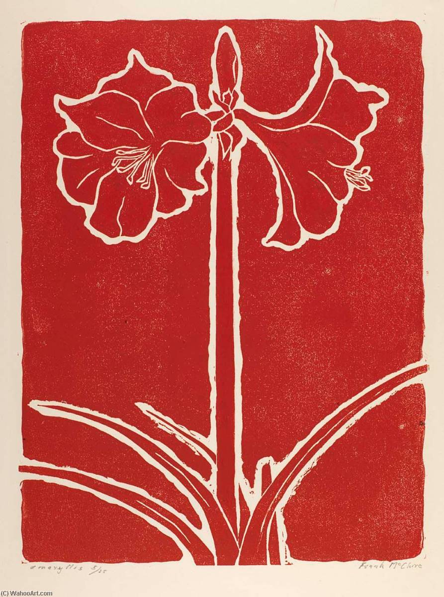 Amaryllis — Frank Mcclure