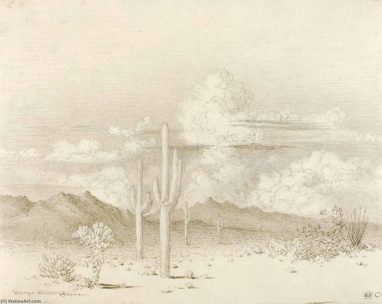 Untitled (transfer Drawing For Evening, Paradise Valley, Arizona) — George Elbert Burr