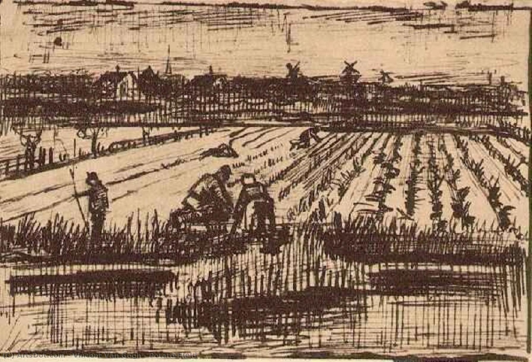 Potato Field — Vincent Van Gog