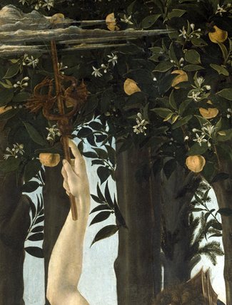Primavera - (15) — Боттичелли