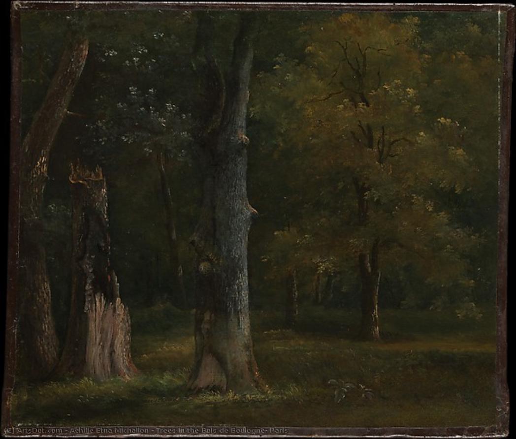 Trees In The Bois De Boulogne, Paris — Achille Etna Michallon