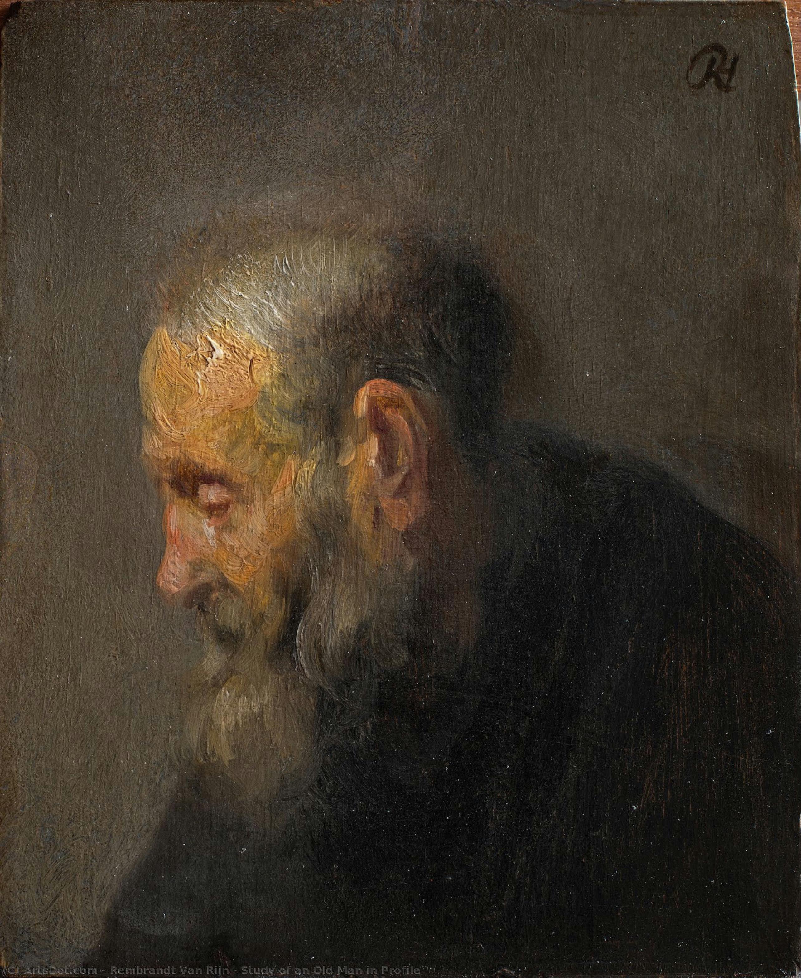 Study Of An Old Man In Profile — Rembrandt Van Rijn