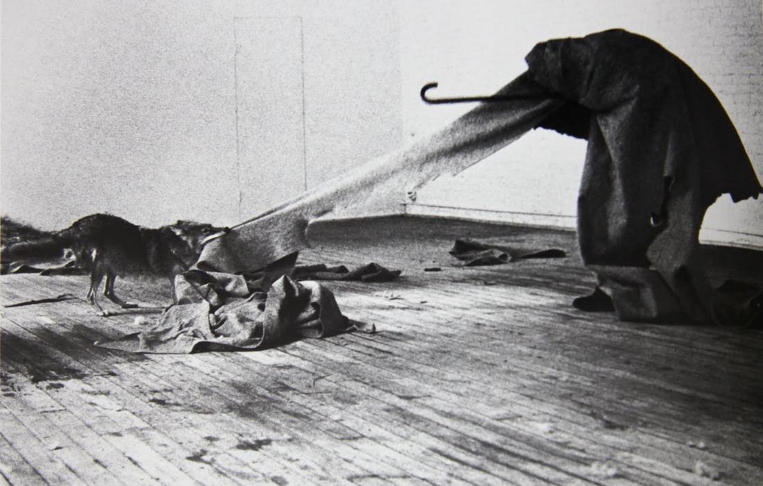 I Like America And America Likes Me — Joseph Beuys