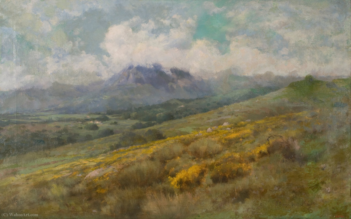 (51 X 81 Cm) (1901) — Josep Berga Boix