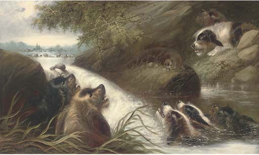 The Cornered Otter — George Armfield (smith)