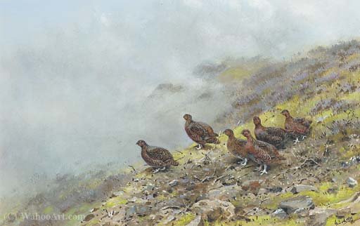 Red Grouse On A Scottish Moor — George Edward Lodge