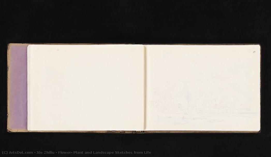 Flower, Plant And Landscape Sketches From Life — Šie Žiliu