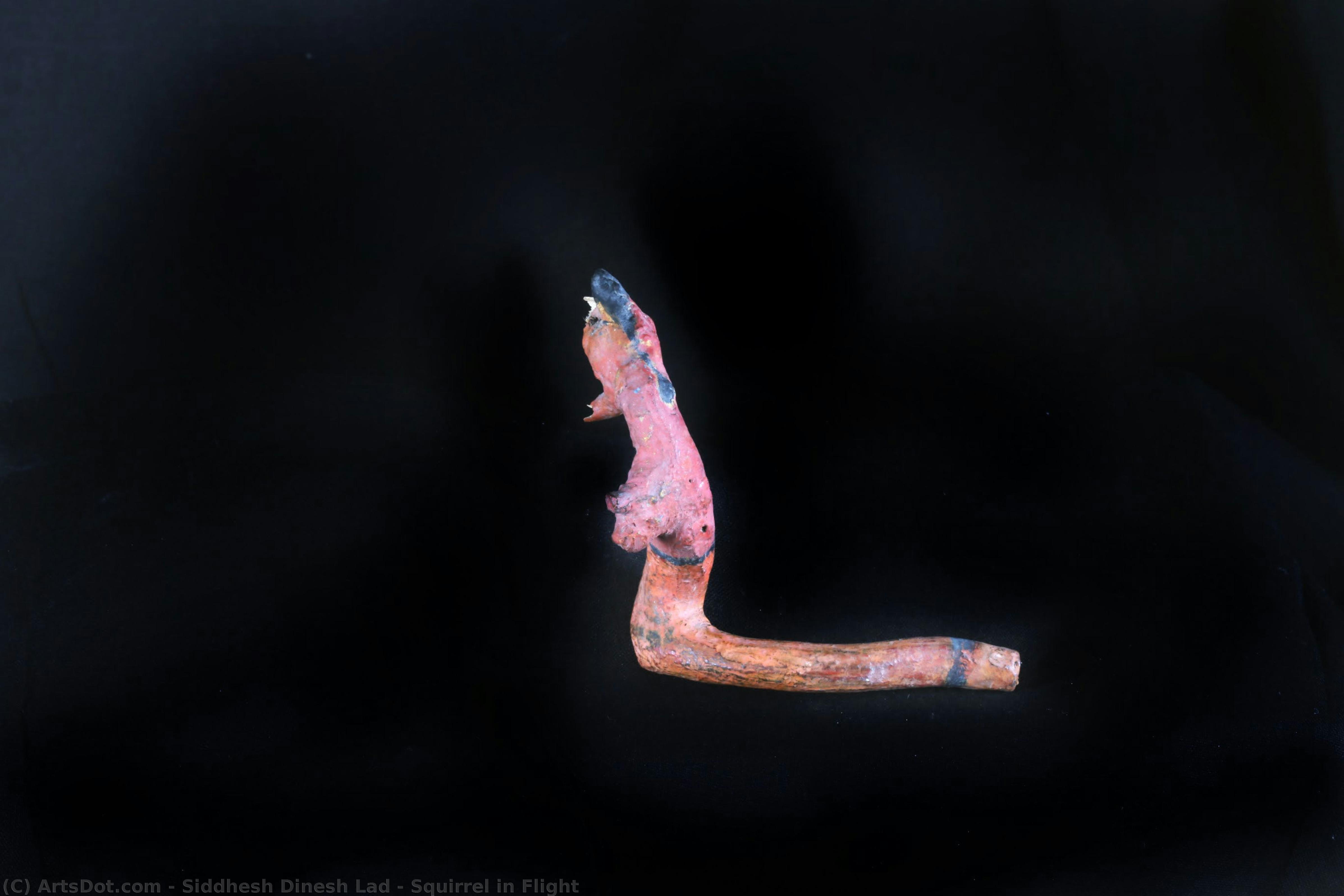 Squirrel In Flight — Sidliš Dinesh Lad