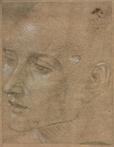 Head Of A Young Man — Filippino Lippi