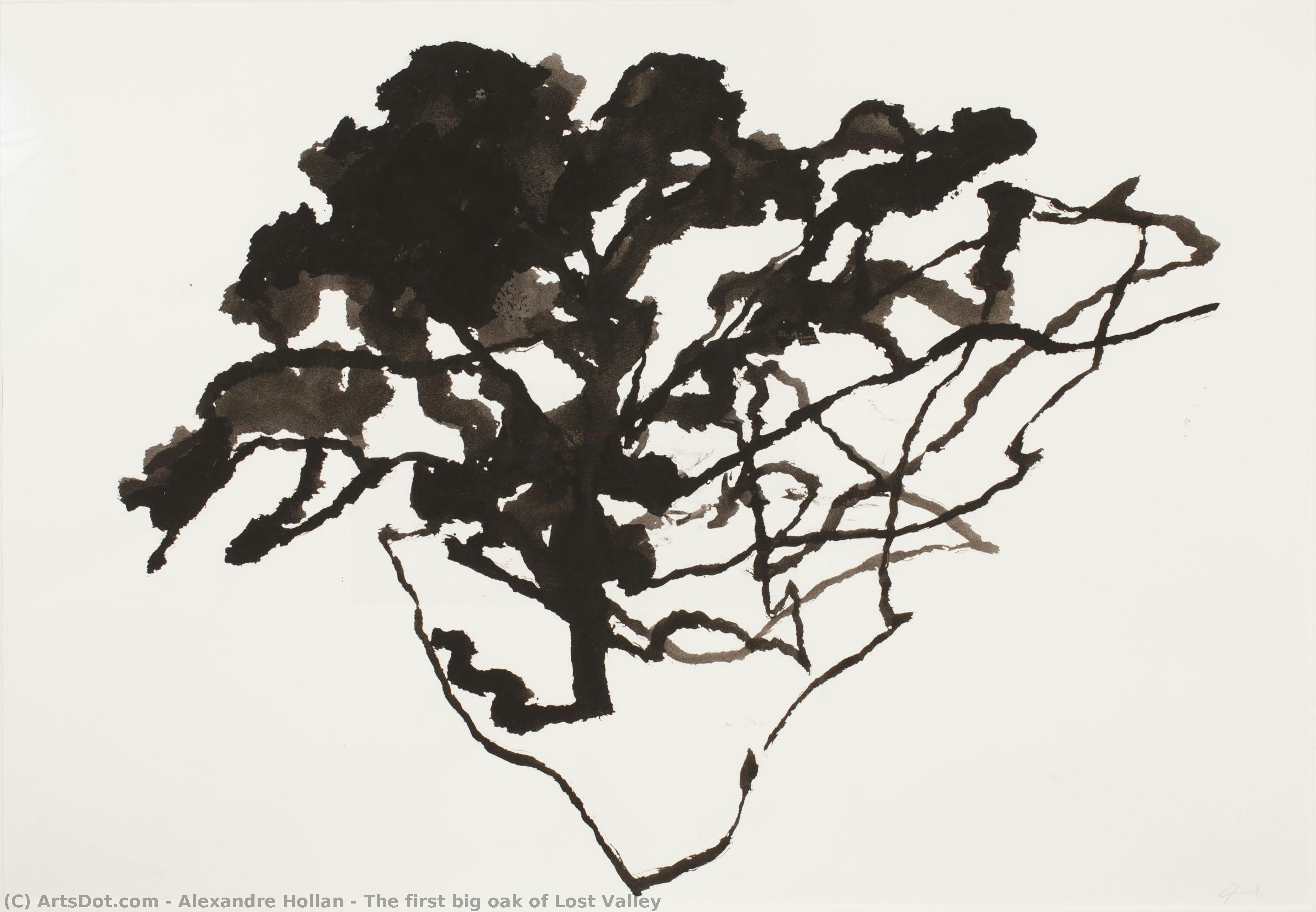 The First Big Oak Of Lost Valley — Alexandre Hollan