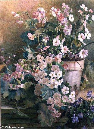 Study Of Primroses — Hector Caffieri