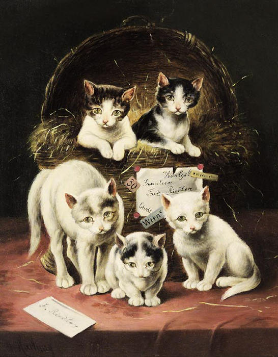 Surprise — Carl Reichert