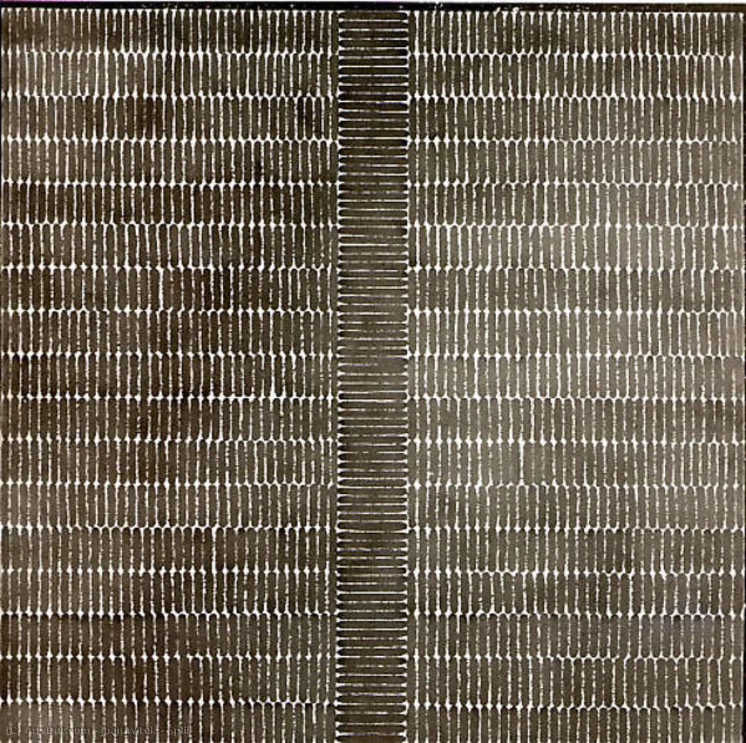 Split — Joan Witek