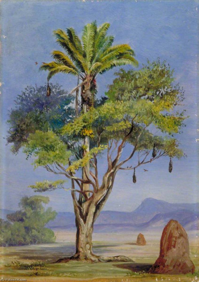 'schotte Umarmt Eine Kreolin', Brasilien — Marianne North