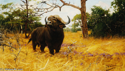 A Kaffir Buffalo In Prairie Grass — Friedrich Wilhelm Kuhnert