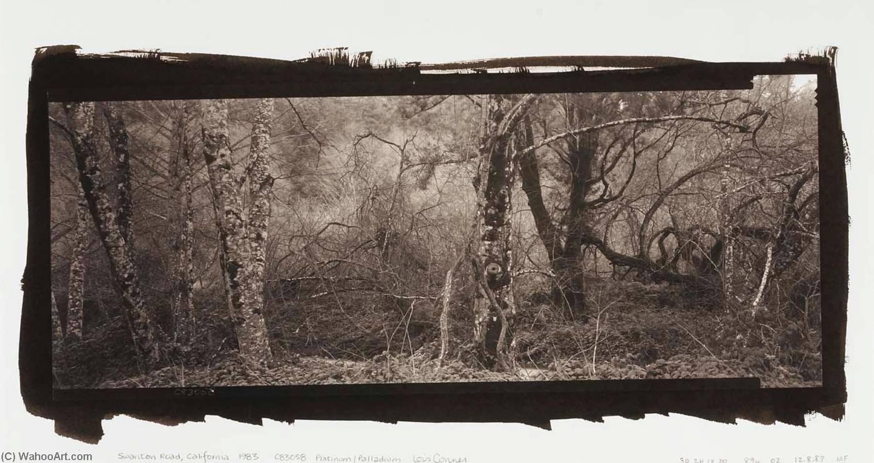 Swanton Road, California — Lois Conner