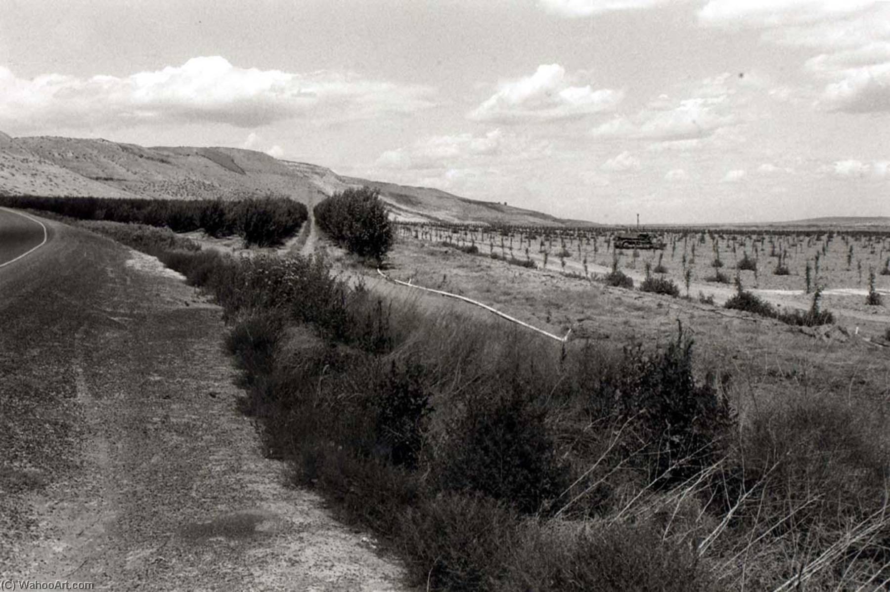Basin City, Franklin County, Washington, July 13 — Ingeborg Gerdes