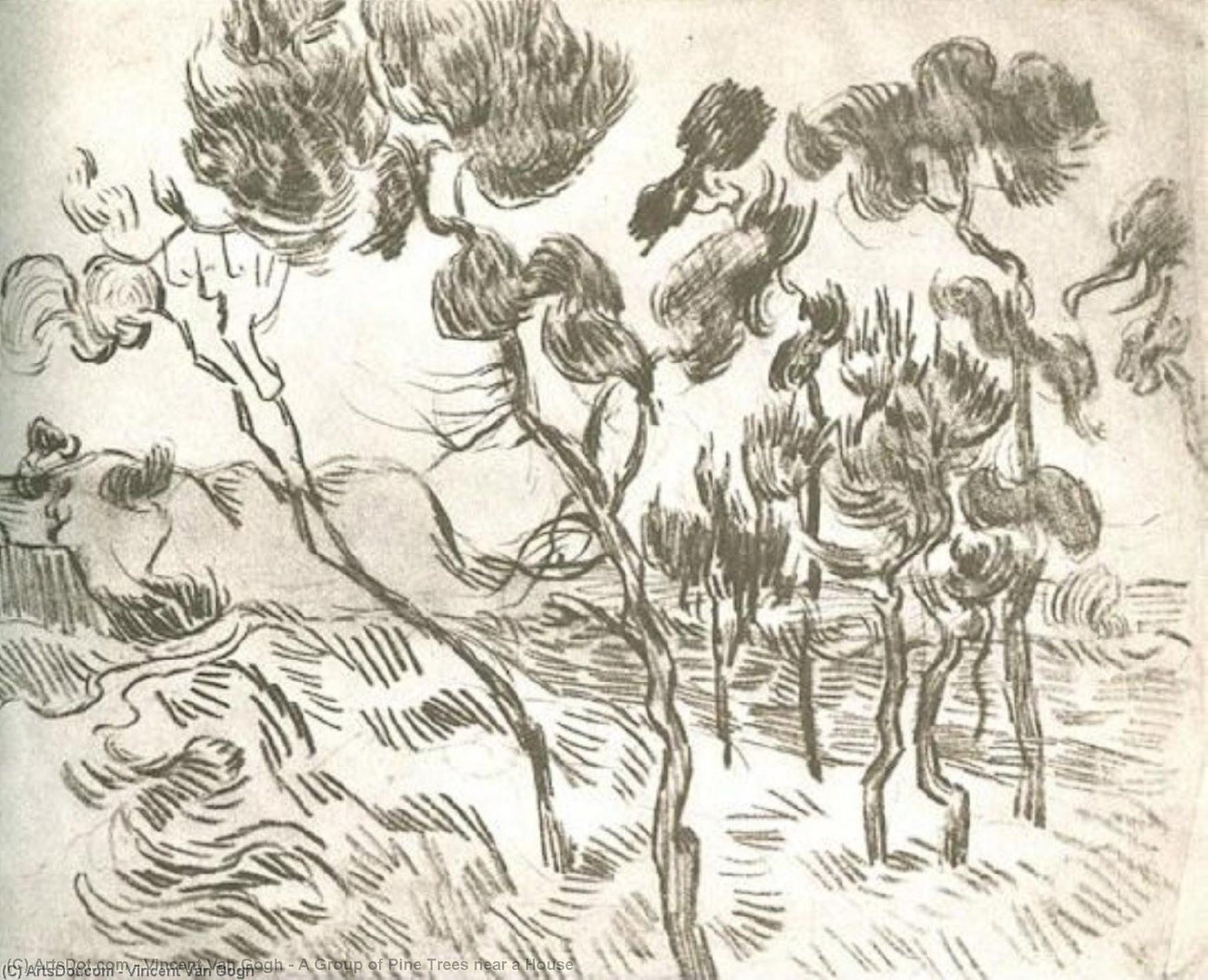 A Group Of Pine Trees Near A House — Vincent Willem Van Gogh