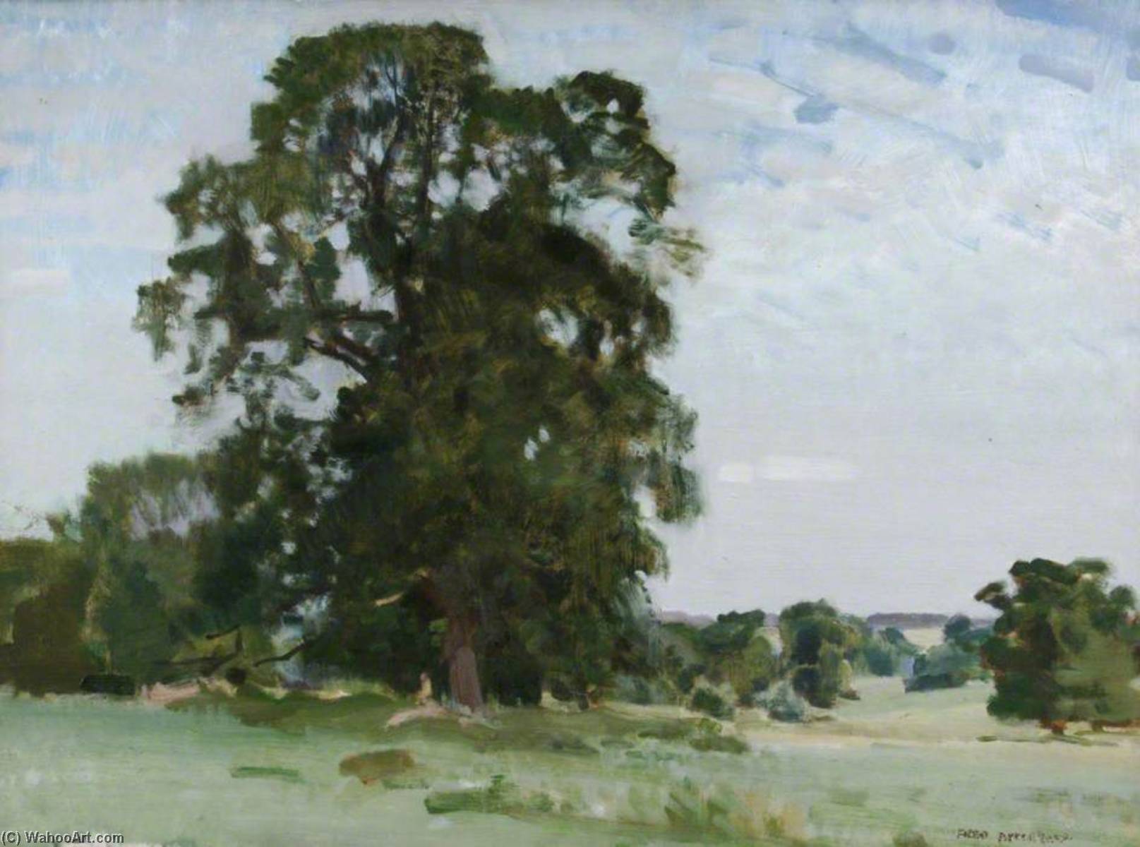 Avington Park, Looking North Towards Itchen Down — Frederick Appleyard