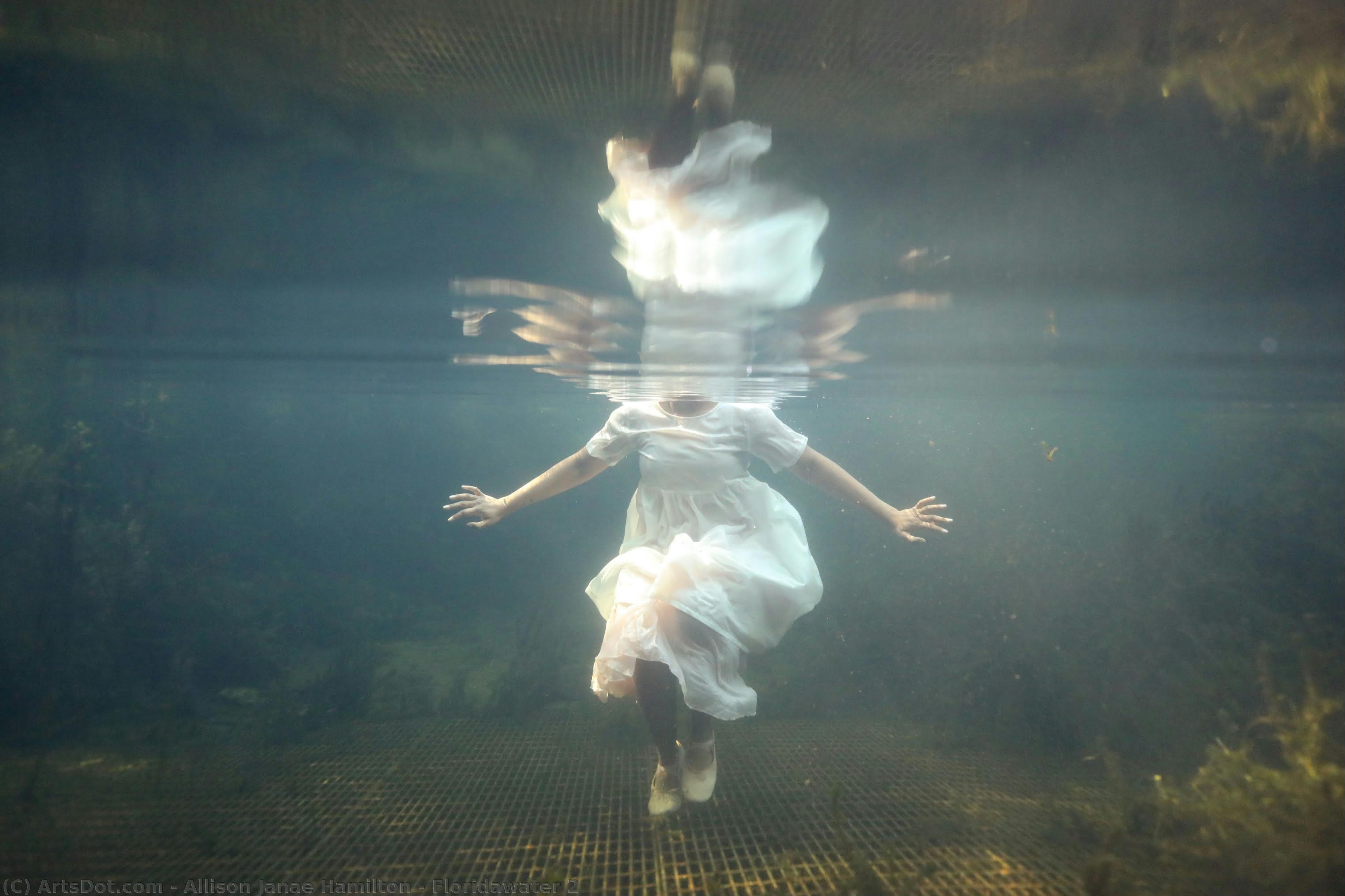 Floridawater 2 — Allison Janae Hamilton