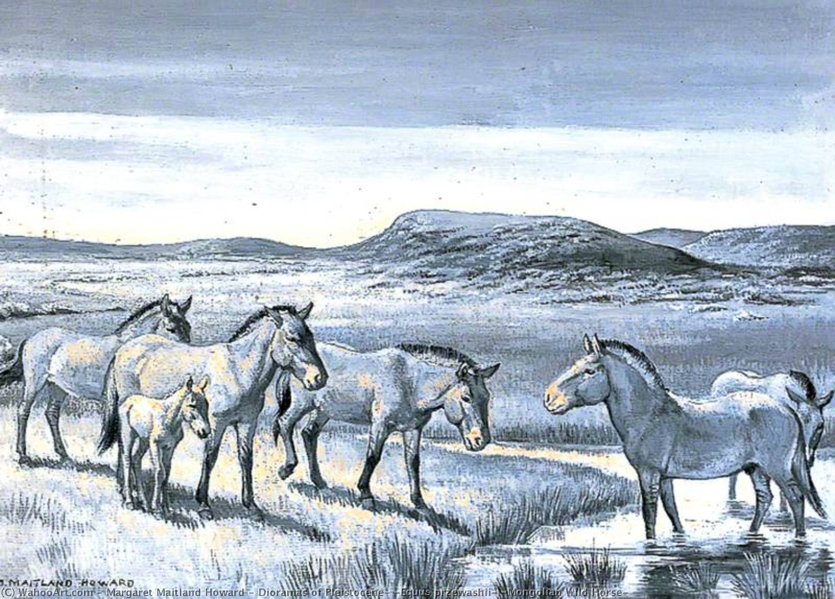 Dioramas Of Pleistocene, 'equus Przewashii' (mongolian Wild Horse) — Margaret Maitland Howard
