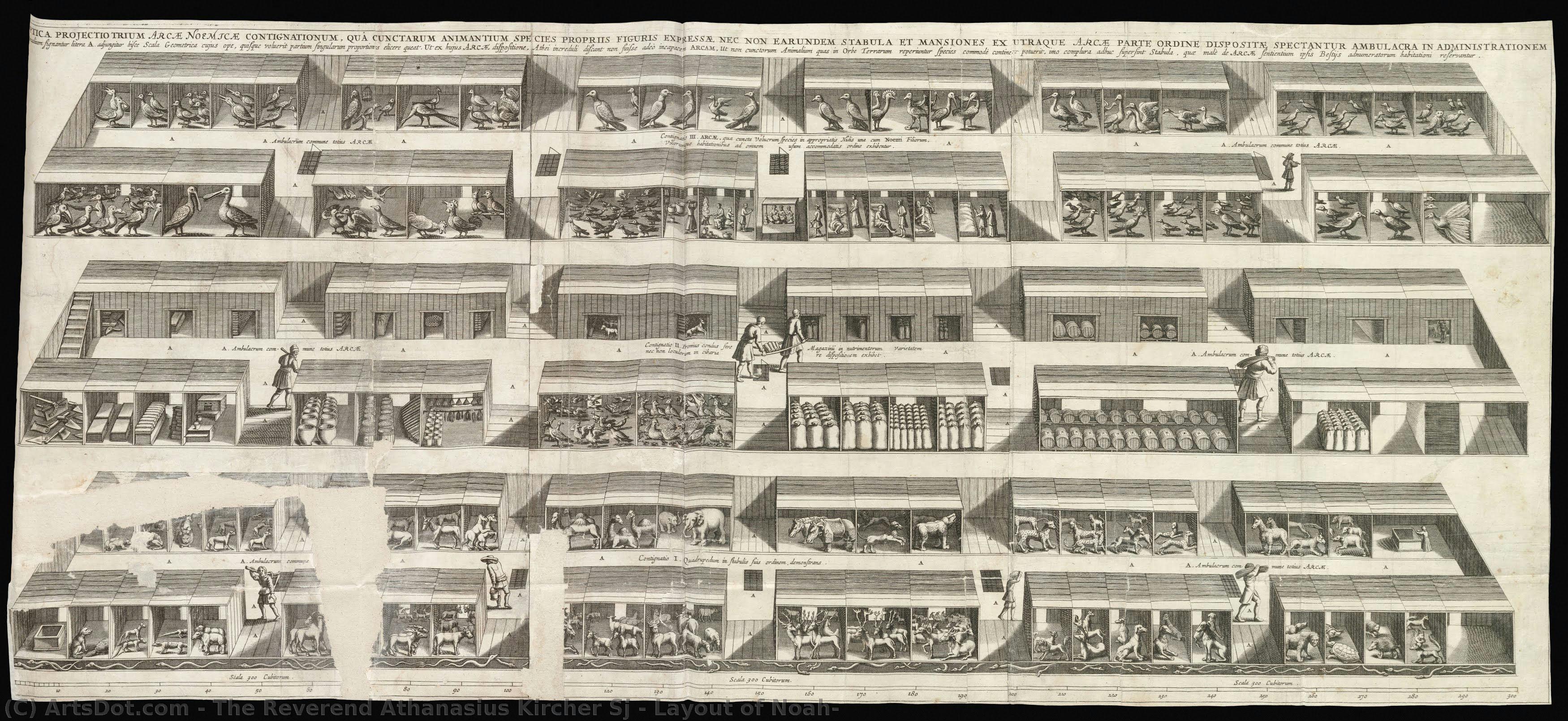 Layout Of Noah — The Reverend Athanasius Kircher Sj