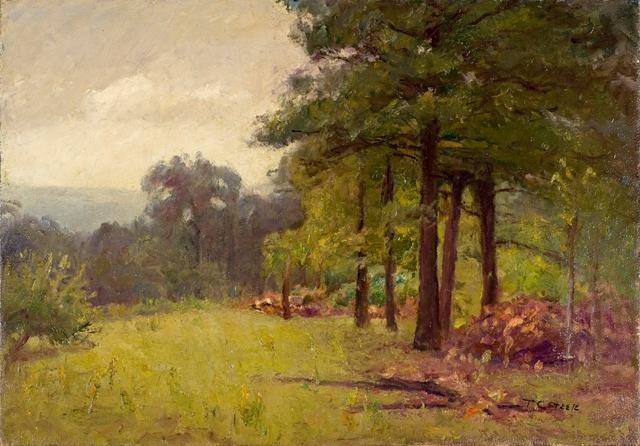 Woodland Scene (midsummer Afternoon) — Theodore Clement Steele