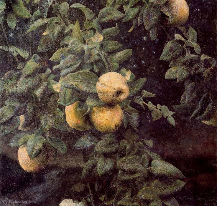 Untitled (673) — Antonio López García