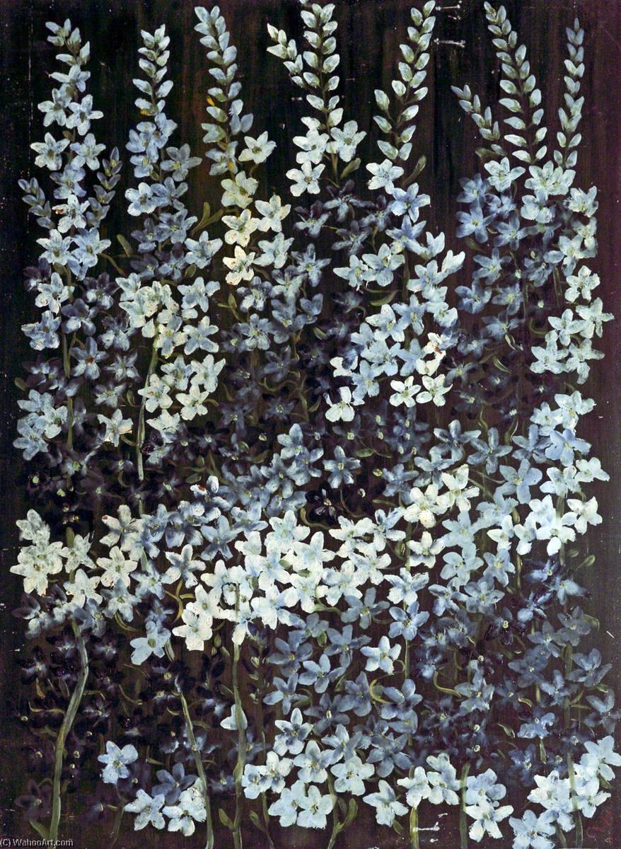 Study Of Delphiniums — Caroline Emily Gray Hill