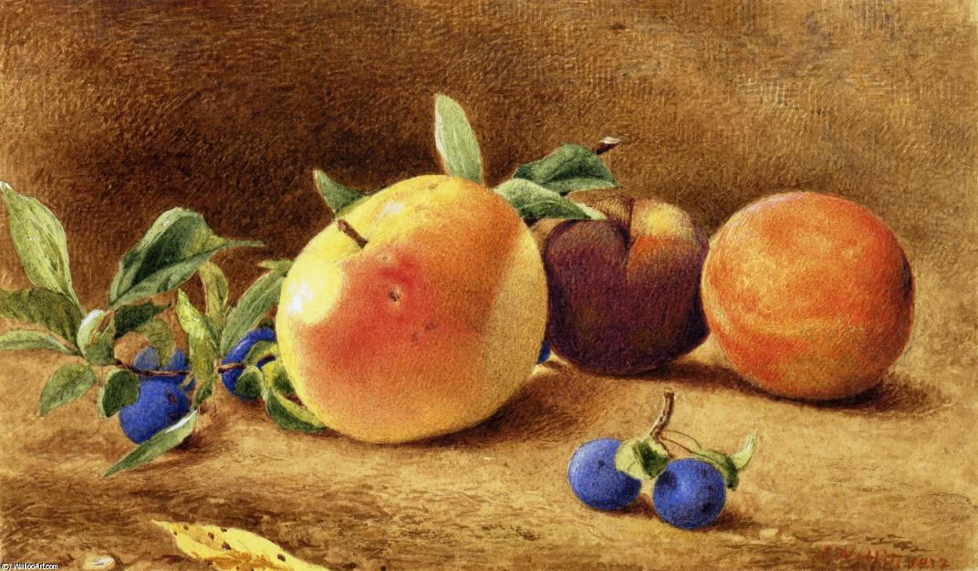 Study Of Fruit — John William Hill