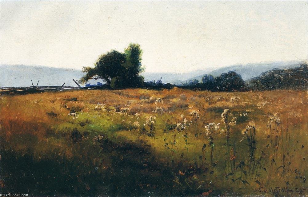 Mountain View From High Field — Willard Leroy Metcalf