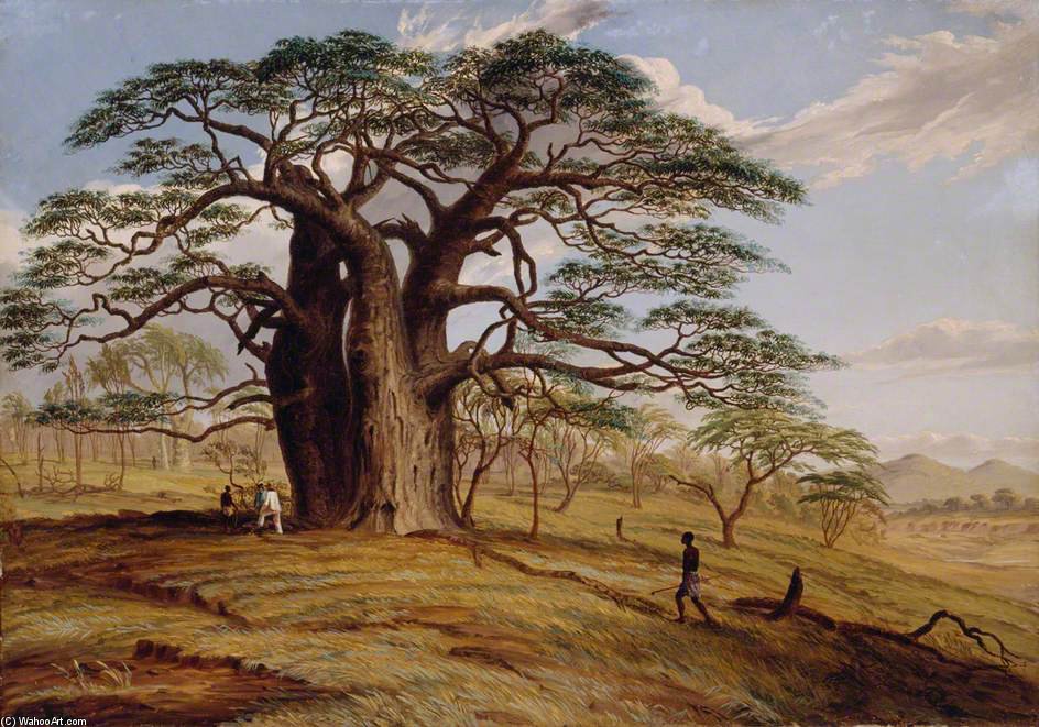 A Baobab Near The Bank Of The Lue — Thomas Baines