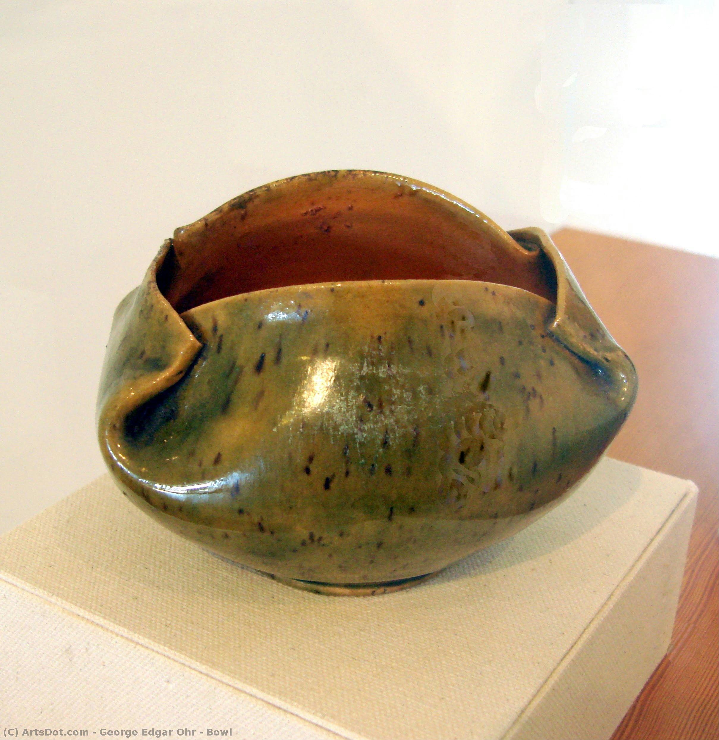 Bowl — Безумный Художник Билкиси