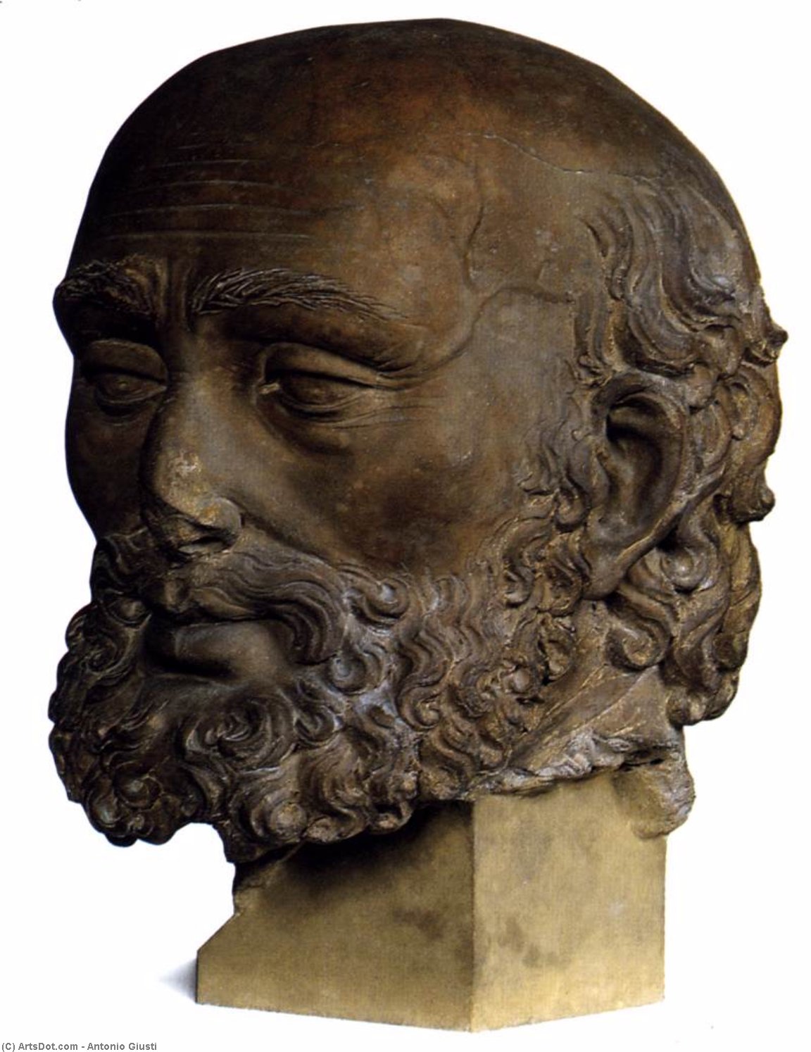 Head Of St Peter — Antonio Giusti