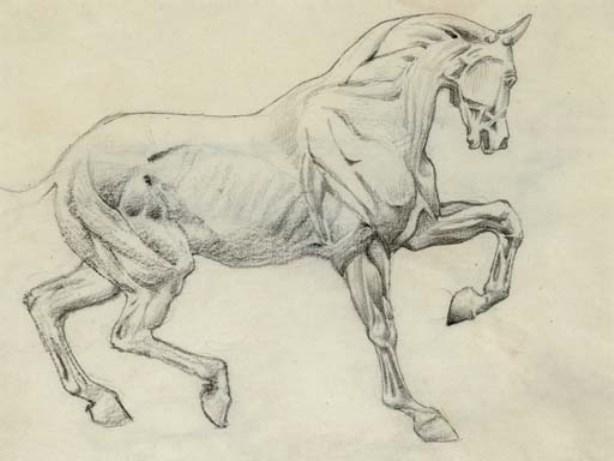 Ecorché Figure Of A Horse — Edward Coley Burne-jones