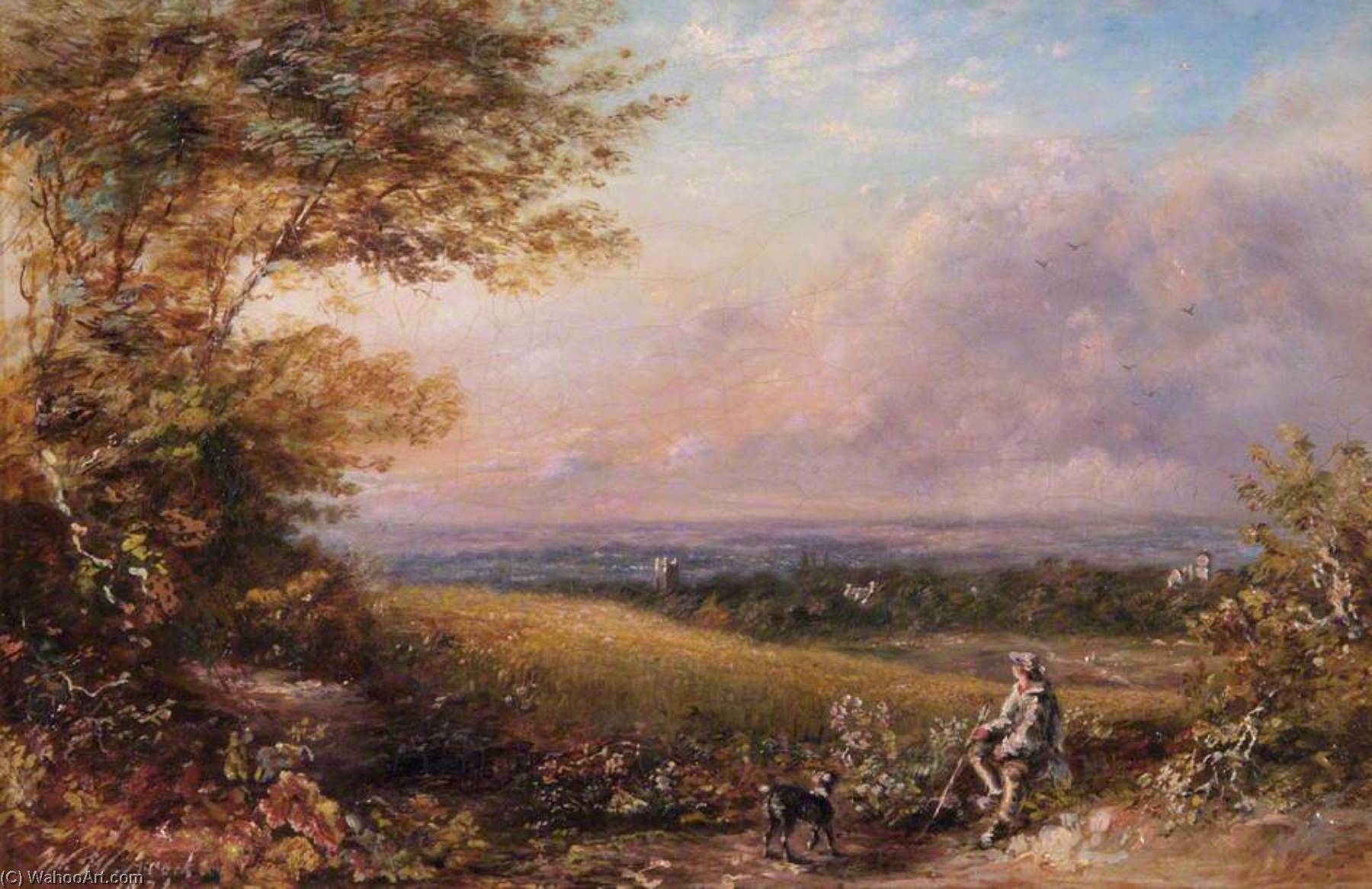 A Part Of Croham Hurst, Croydon, Surrey — Walter William Acock