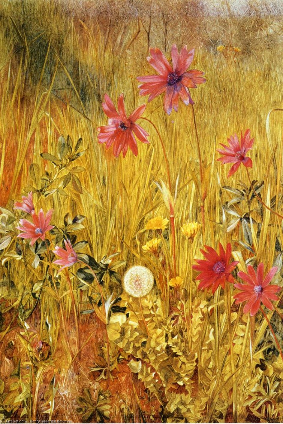 Wildflowers — Генри Родерик Ньюман