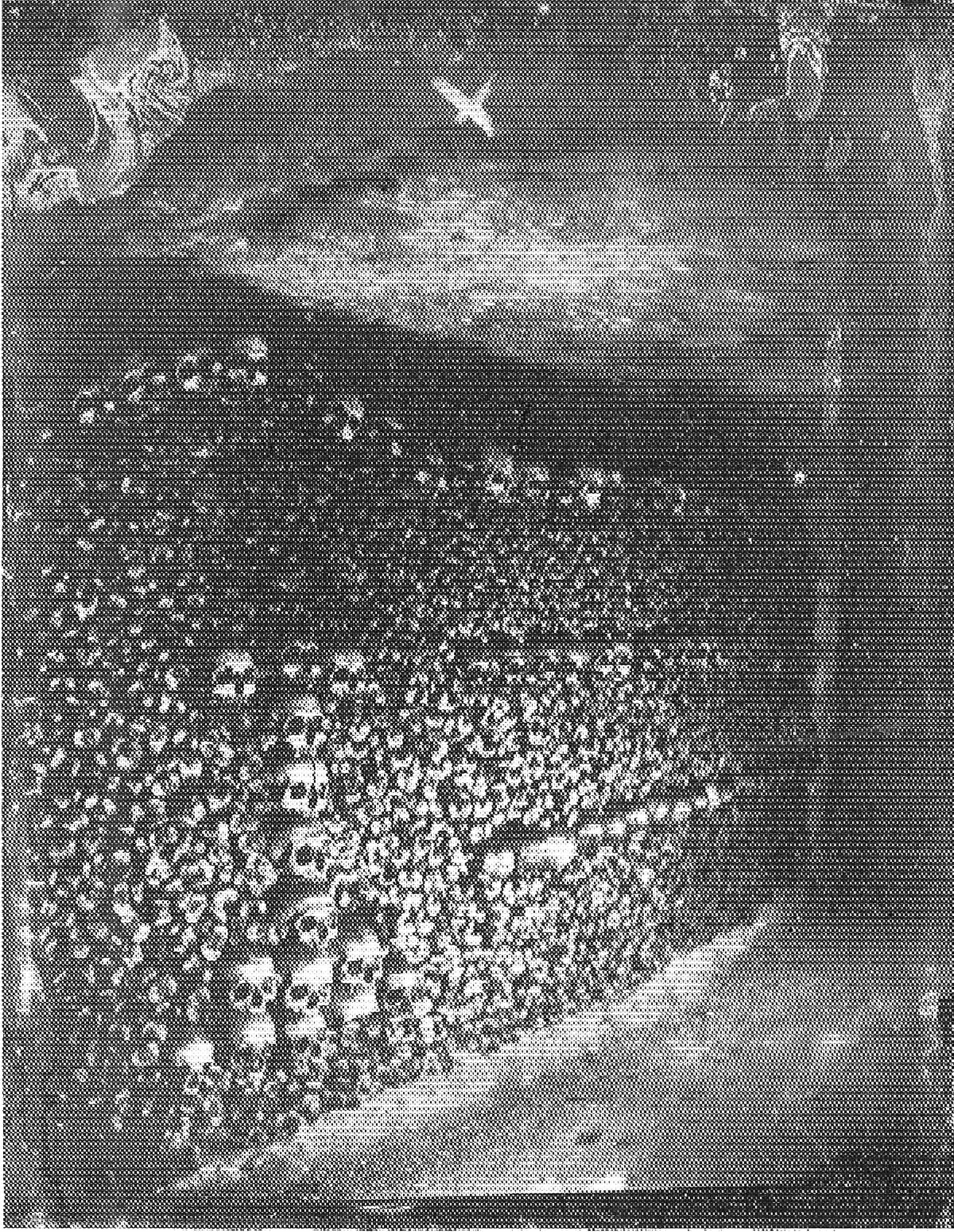 Catacombes De Paris — Félix Nadar