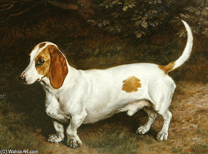 My Favourite Dachshund — Frank Paton